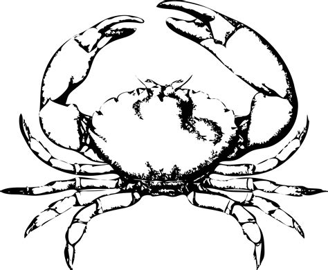 printable crab