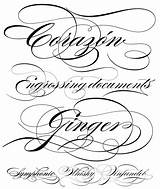 Cursive Burgues Veer Sudtipos Tattoopins Tattoomagz sketch template