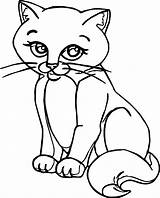 Cat Coloring Realistic Pages Persian Drawing Printable Color Getcolorings Print Real Tabby Marvelous Draw Getdrawings sketch template