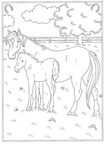 kids  funcom  coloring pages    stables horse coloring