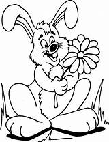 Rabbit Coloring Pages Bunny Rabbits Printable Bunnies Color Cartoon Print sketch template