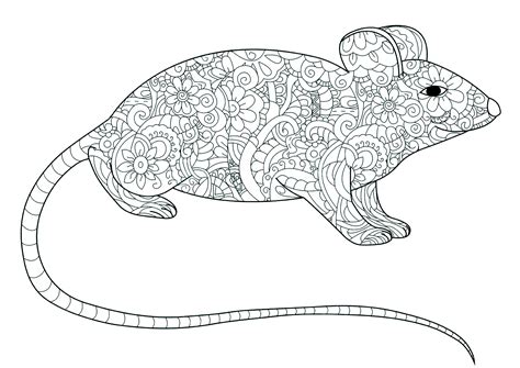 long tailed mouse mouse kids coloring pages