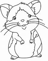 Hamster Ausmalbilder Ausdrucken sketch template