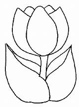 Tulip Drawing Coloring Easy Kids Flower Simple Tulips Peony Pages Clipart Line Printable Drawings Color Outline Nature Cliparts Step Clip sketch template