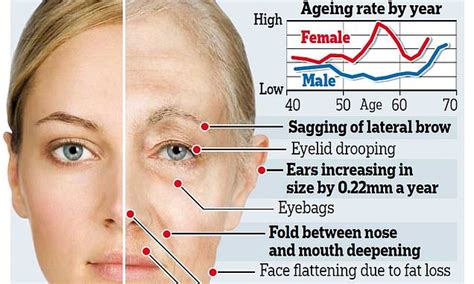 how the loss of sex hormone oestrogen causes a woman s face to age