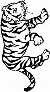 Tiger Coloring Pages Color Print Coloring2print sketch template