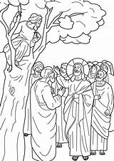 Coloring Pages Nice Zacchaeus sketch template