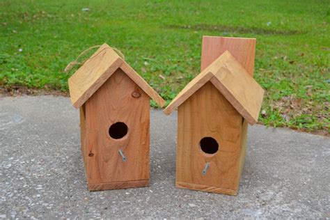 build  birdhouse bird houses bird houses diy   waterproof wood