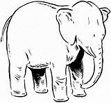 Elephant Elephants Netart sketch template