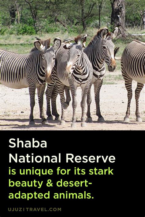 discover  beauty  shaba national reserve
