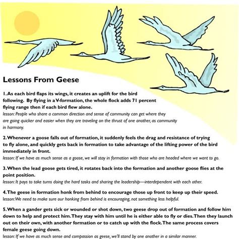 lessons from geese lesson leadership games leadership