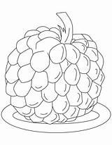 Atis Custard Planse Fructe Colorat Clip Padure Fruits Zmeura Desenat Bestcoloringpages Cherimoya sketch template