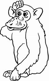 Coloring Chimpanzee Pages Thinking Printable Orangutans Categories Apes Supercoloring Popular Drawing sketch template