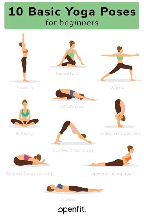 basic yoga poses  beginners basic yoga poses basic yoga yoga  beginners