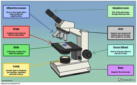 label  part   microscope gif diagram printabel