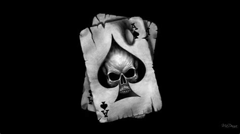 skull hd wallpapers  pictures