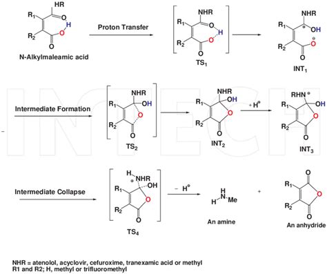 proposed mechanism   acid catalyzed hydrolysis  maleamic acids  scientific