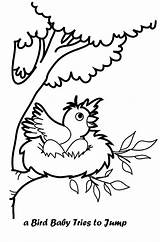 Nest Bird Coloring Baby Pages Colouring Drawing Printable Getdrawings Coloringpagesfortoddlers Animals Visit sketch template
