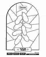 Mitzvah Simchonim sketch template