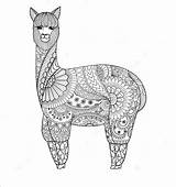 Llama Tiere Zentangle Lamas Alpaca Llamas Ostern Perfektes sketch template