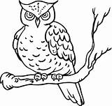 Owl Coloring Pages Printable Kids Owls Color Sheets sketch template