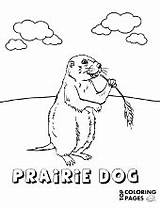 Coloring Dog Pages Animals Animal Topcoloringpages Color Prairie Praire Printable sketch template