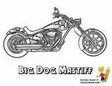 Motorcycle Coloring Pages Motorcycles Concept Mighty Dog Enduro Beginner Touring Types Street Easy Big Yescoloring sketch template