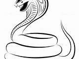 Cobra Spitting Coloring Pages Getcolorings King Getdrawings sketch template