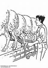 Milking Coloring Sheep Large Edupics sketch template