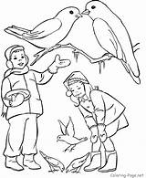 Kolorowanki Zimowe Dolphin Coloringtop Zima Zimą Dokarmianie Raisingourkids Feeding Ptaków Bałwana sketch template
