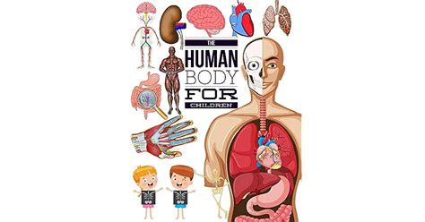 human body  children   interactive human body  kids