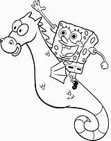 Spongebob Seahorse Mewarnai Sponge Squarepants Esponja Anak Halaman Choosing Sponges Kostenlos Squidward Coloridos Cavalos Raskrasil Drucken Krabs sketch template