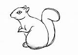 Squirrel Drawing Coloring Clipart Line Pages Garden Easy Drawings Flying Printable Kids Deborah Leigh Statue Squirrels Clip Tree Cliparts Animal sketch template