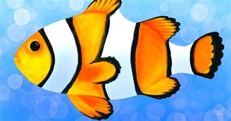 draw  clownfish easy step  step art activity video