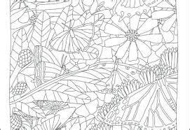 animals camouflage coloring pages camouflage