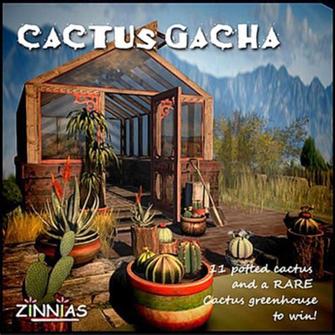 life marketplace rare zinnias cactus garden greenhouse