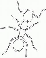 Ant Dessin Fourmi Hormigas Ants Coloriage Formica Cigale Insectos Robaki Insect Kolorowanki Insects Fourmis Owady Colorier Insekten Dzieci U0026 Animalstown sketch template