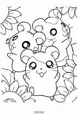 Kleurplaten Kleurplaat Hamster Van Dieren Rudolf Mandala Afkomstig Nl Coloring Hamtaro Pages Hamsters Tekeningen sketch template