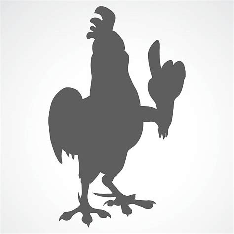bantam chicken silhouette illustrations royalty free vector graphics