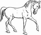 Cavalos Colorindo sketch template