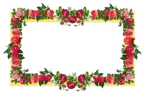 rose flower border clipart