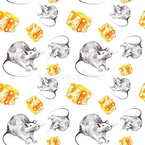 Rat Gris Disolement Sur Le Fond Blanc Image Stock Image