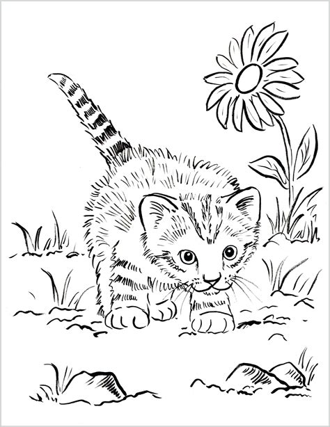 cute coloring pages kittens