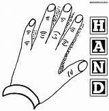 Coloring Hands Pages Hand Colorings Tiktok Printable sketch template