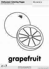 Grapefruit Coloring Simple sketch template