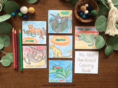 rainforest coloring pages  homeschool deals