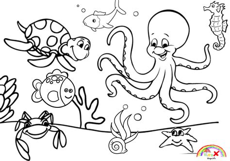 sea animal coloring pages printable  thekidsworksheet