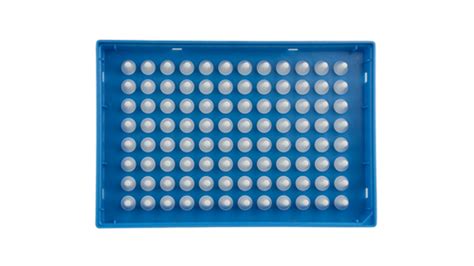 Hard Shell 96 Well Pcr Plates Low Profile Thin Wall