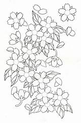 Blossoms Japonesas Getdrawings Outlines Wan Cerisier Cerezo Japanische Japanse Fiori Giapponesi Bloemen Japonais Clipartxtras Tattoodaze Skulls sketch template