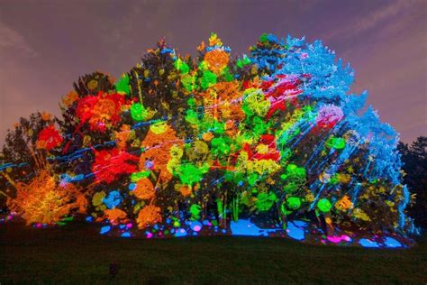 sixth annual illumination returns  lisles morton arboretum